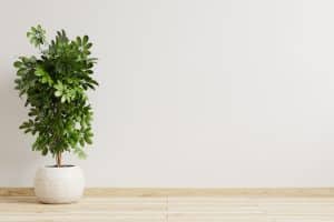 ideas-decoracion-living-moderno